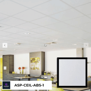 ASP-CEIL-ABS-1